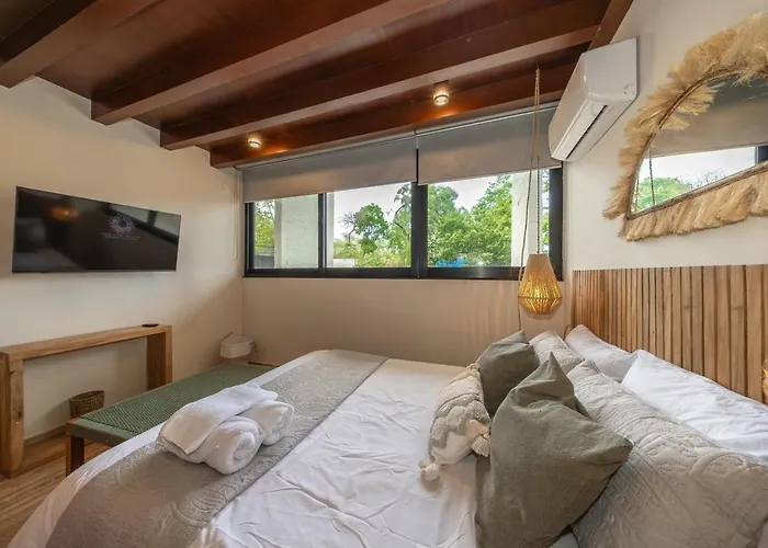 Exclusive Designer Duplex In Playacar Appartement