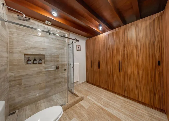 Exclusive Designer Duplex In Playacar *