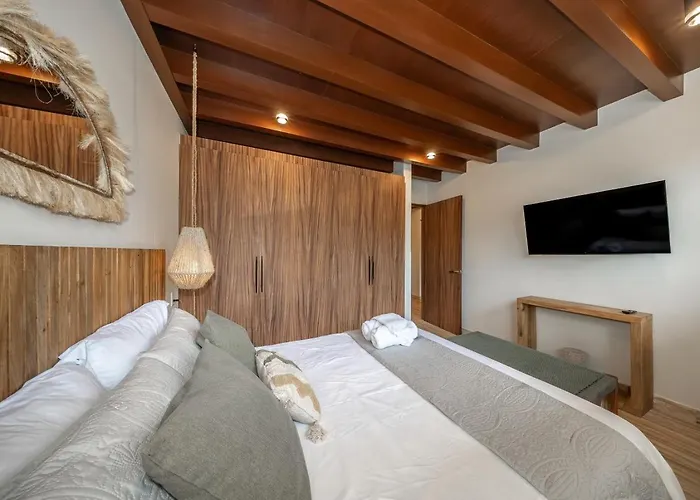 Exclusive Designer Duplex In Playacar